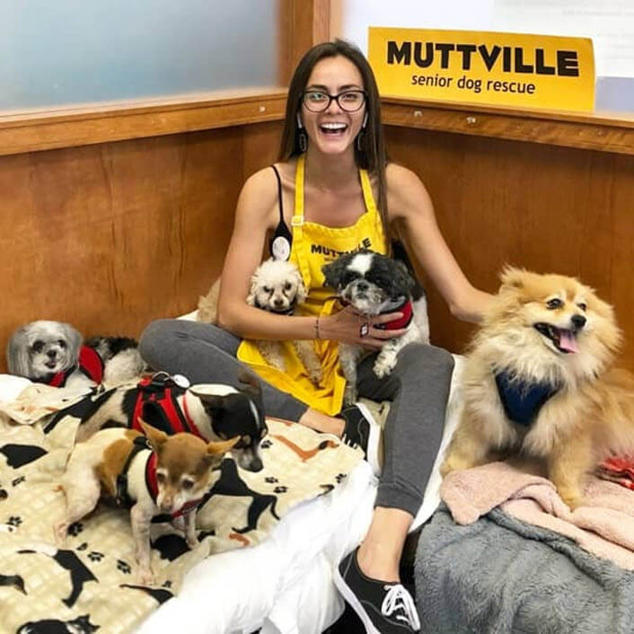 Muttville Commercial Case Study